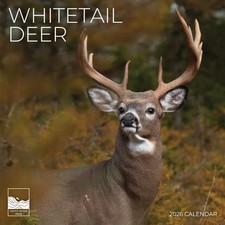 Whitetail Deer Wall Calendar 2026 12x24 Wildlife Photography Organizing Decor