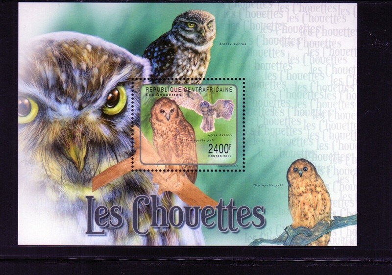 CENTRAL AFRICAN REPUBLIC #1563 2011 OWLS MINT VF NH O.G S/S aa