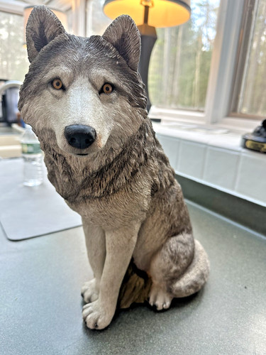 Exclusive-Sitting Wolf Resin Statue, Garden/Home Decor, Wild Animal, Sandicast