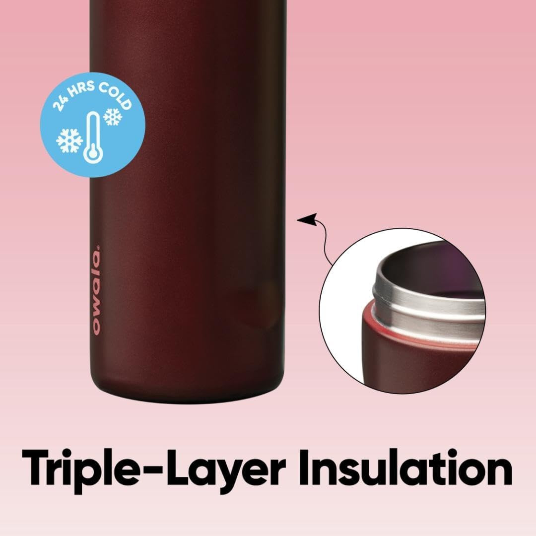 Freesip Insulated Stainless Steel Water Bottle with Straw, Bpa-Free Sports Water