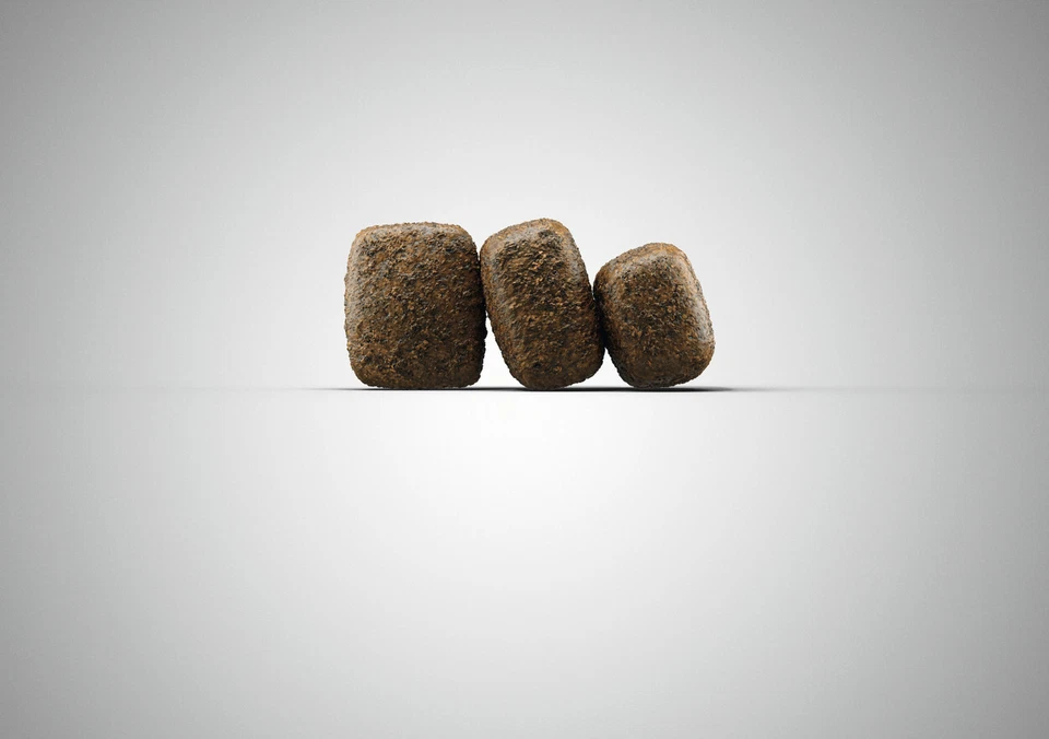 JOSERA Geflügel & Forelle 12,5 kg - getreidefreies Hundefutter + JOSERA SNACK - Bild 2 von 3