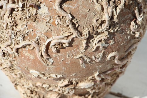 19th Century Antique Terracotta Octopus Trap, Octopus Terracotta Undersea Pot - Picture 9 of 12