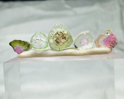 Tourmaline Watermelon Slices polished Weight Is 5 Cts For size ruler add