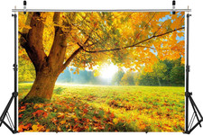 7x5FT Autumn Golden Maple Deciduous Photography Background Fall Photo Backdro...