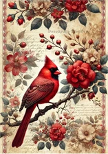 Red Rose Cardinal | A4 Rice Paper | Paper for Decoupage | Decoupage Creatives