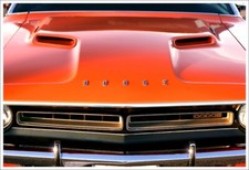 13x19 1971 Dodge Challenger Rt Photo Print Art 340 440 426 Hemi Mopar Muscle