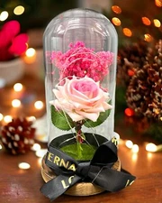 SINT Preserved Rose Gifts for Women Forever Real Rose in Glass Dome Rose Flow...