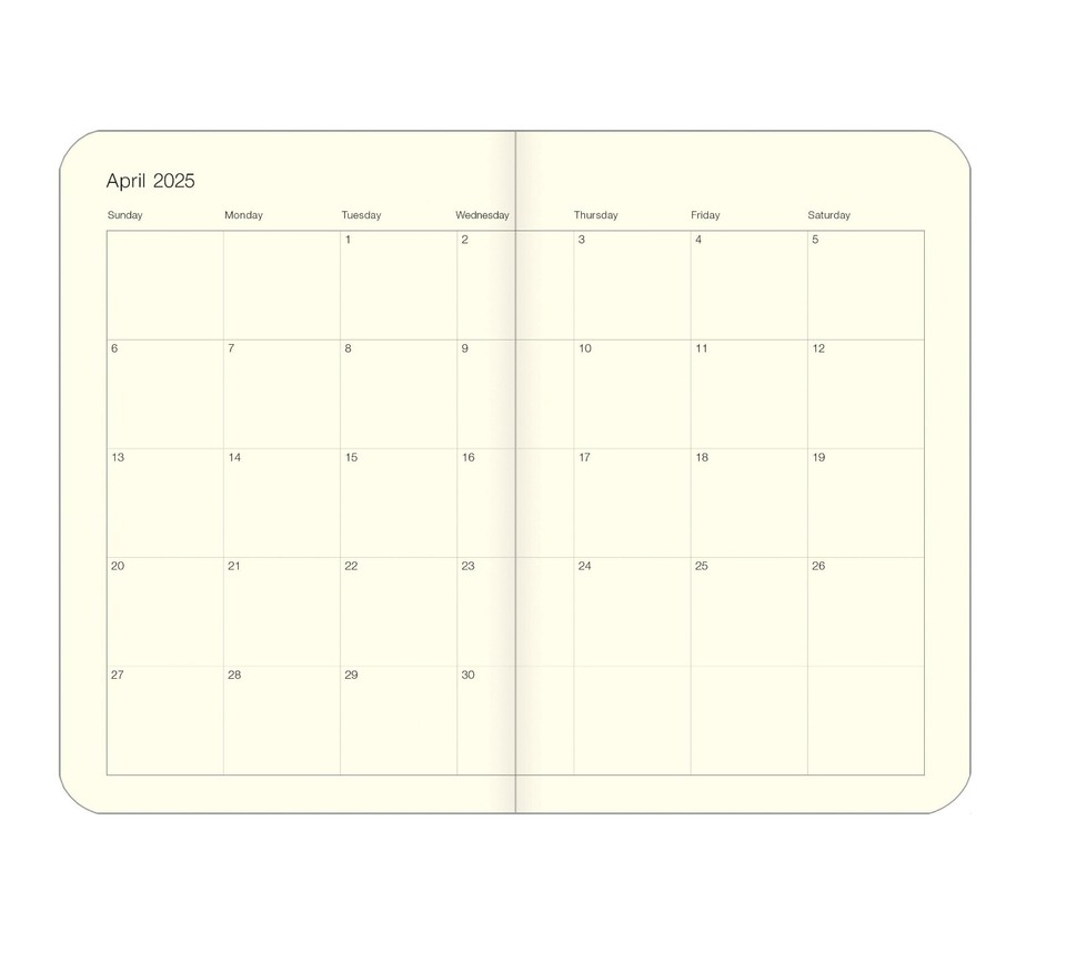 cavallini-co-butterflies-2025-pocket-weekly-planner-4-x6-ebay
