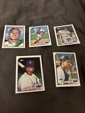 1988-89 Detroit Tigers