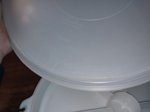 Tupperware 405-1 Party Snack Vegetable Relish Tray, Handle & 13" Lid Seal 224-9 - Picture 9 of 11