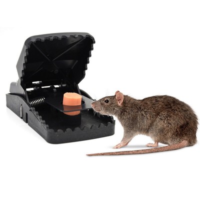tikus perangkap jebakan jaw catcher 2pcs lethal killing rodent snap hf0 handal joni cat go9