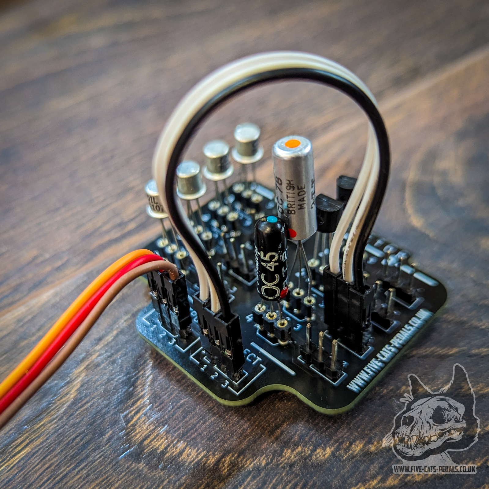 Transelector Transistor selector Guitar Pedal DIY Five Cats