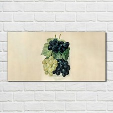 Acrylic Glass Print Wall Picture 100x50 Painting Fruits Grapes Leaves