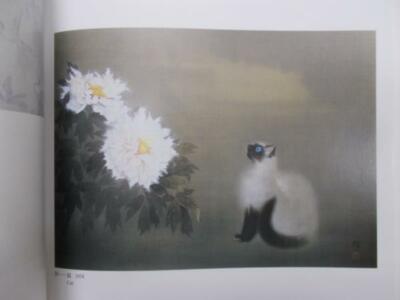 Picture Catalog Matazo Kayama Exhibition 1992 | eBay