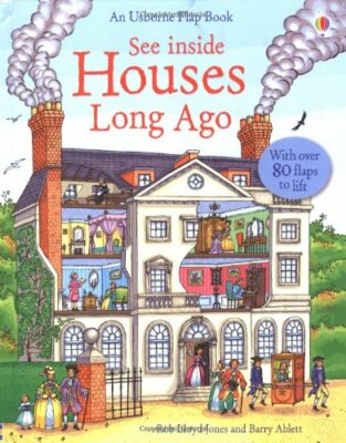 Houses Long Ago (Usborne See Inside) By Rob Lloyd Jones
