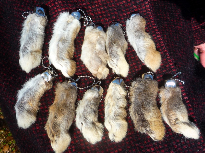 LUCKY 11 RABBITS FOOT RABBIT'S FEET QTY 11 GENUINE RABBIT'S FOOT