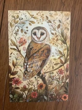 Magical Colorful Owl Art Postcard Blank Back for writing space