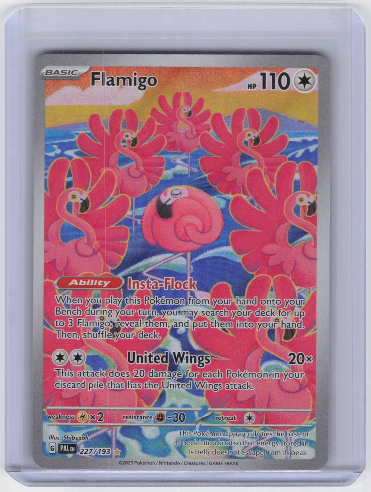 Flamigo Illustration Rare SV02: Paldea Evolved 227/193 NM