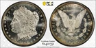1884-CC $1 MS64 PL CAC Morgan Silver Dollar - PCGS Gold Shield - Deep Mirrors PQ