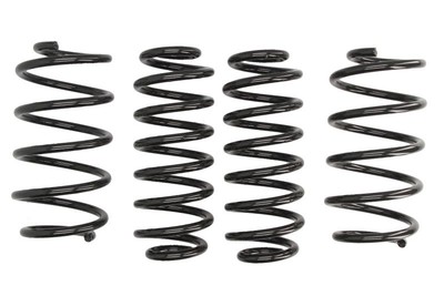 Federn EIBACH Pro Kit E10-79-004-03-22