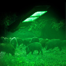 Hog Light, Solar Green Lights for Hunting Deer Hog Pig Activated Feeder Accessor
