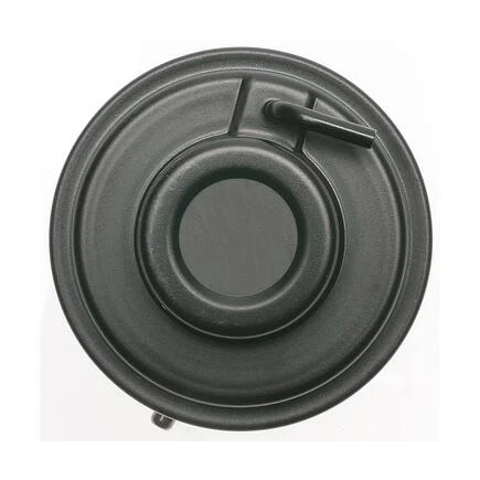 Válvula de encendido estándar EGV556 Egr Foto 3 de 4