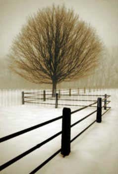 David Lorenz Winston Solitude Open Edition 7x10.5