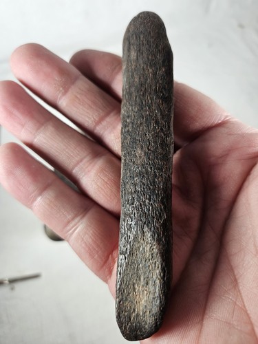 Denti ossei corna fossile preistorico Wisconsin antico dinosauro strumento uomo delle caverne - Foto 4 di 11