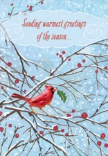 Cardinal with Green Leaf Designer Greetings Christmas Card