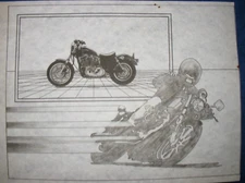 * TRI CHEM 8084 MOTORCYCLE MAN ON BIG ROAD BIKE  Picture TRICHEM