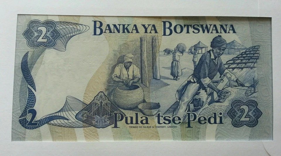[SJ] Botswana Daily Life 1992 Leopard Cheetah Village FDC (banknote cover) - Image 3 of 4