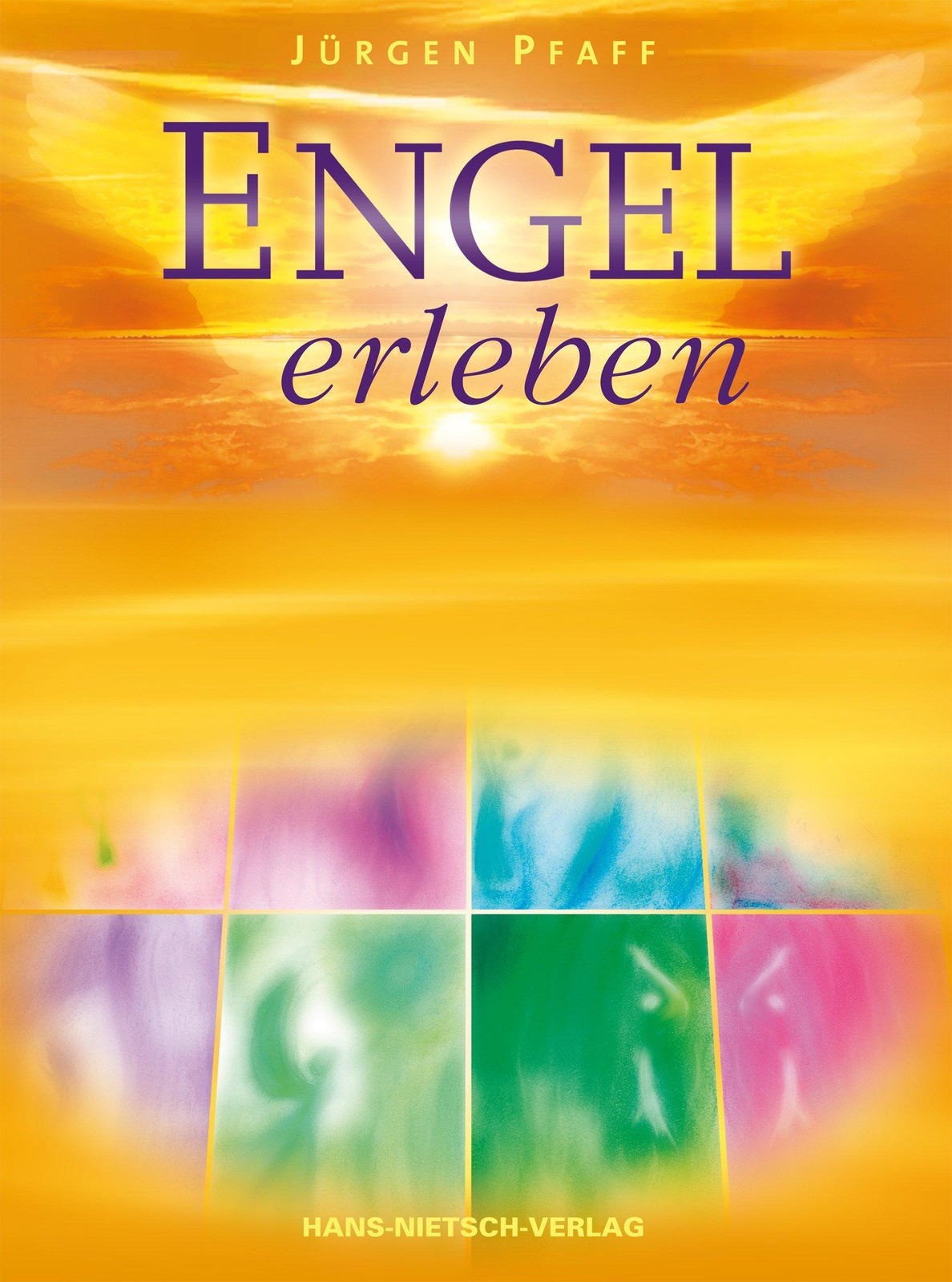 Nietsch H. Engel Erleben, Biografien Von Jürgen Pfaff - Bild 2