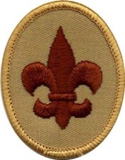 Boy Scout Badge Emblem Patch BSA Discontinued 2015 now Scout Rank