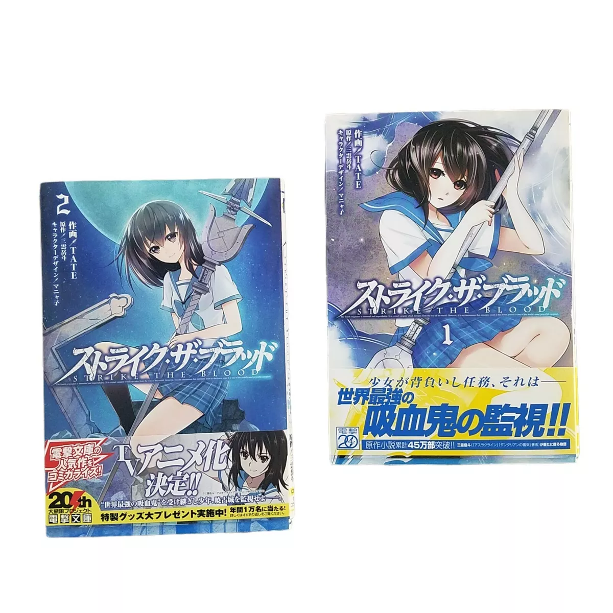 strike the blood vol 2 manga