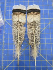 Y307 Pr Hybrid Turkey Tail Feather Faux Eagle