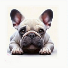 SPECIAL PUG DOG ART PET Pendant on 925 Silver Plated 20" 22" Necklace GIFT BOXED