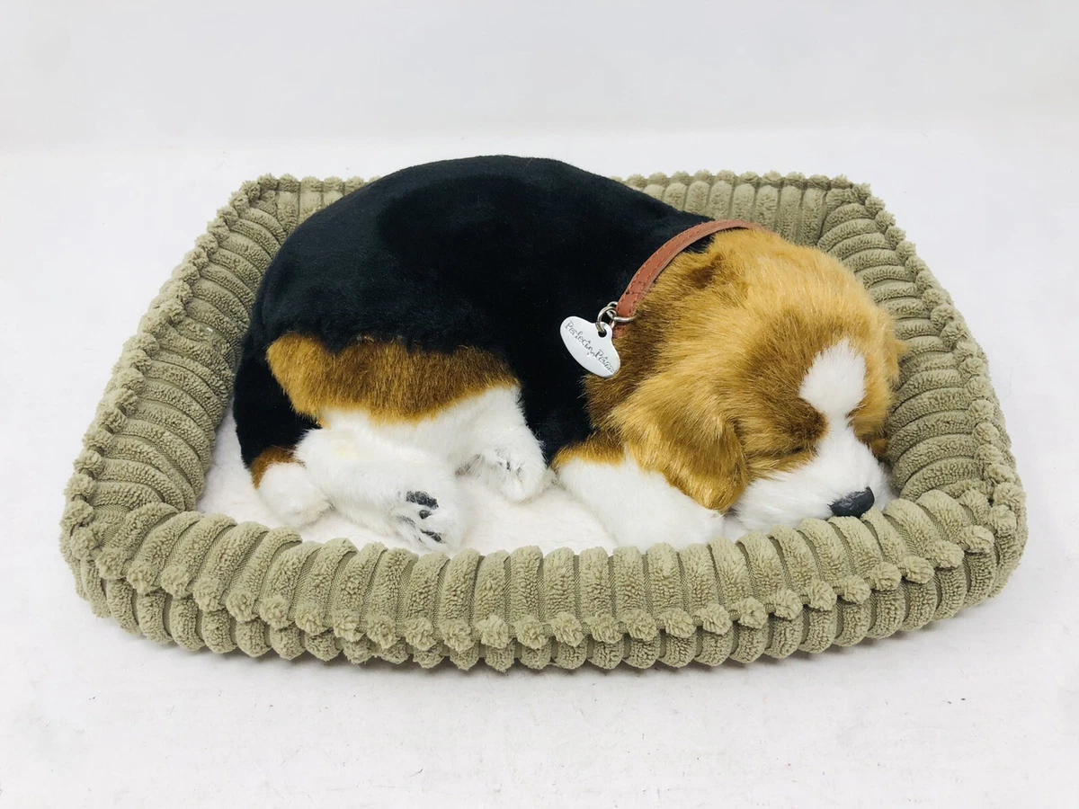 Perfect petzzz cavalier hotsell king charles plush