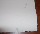 Foto 12 di 12