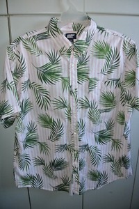 Lands End Mens XL Classic Button-Down Areca Palms over White & Pink Stripes/Nice