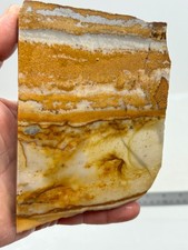 Disaster Peak Picture Jasper Cabbing Lapidary Collecting Combo Ship Avail