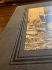 Ant Logging Photo Carmalo VA Virginia Wm Lande Crosscut Saw Horse Team Timber — photo 8
