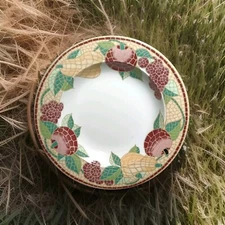 Pier 1  Imports Mosaic Fruit Rimmed Soup Bowls 9.25"W Set  2  Discontinued