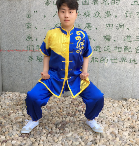 Embroidery Satin Kids Adults Tai chi Uniform Martial arts Kung fu Wing Chun Suit - Picture 7 of 17