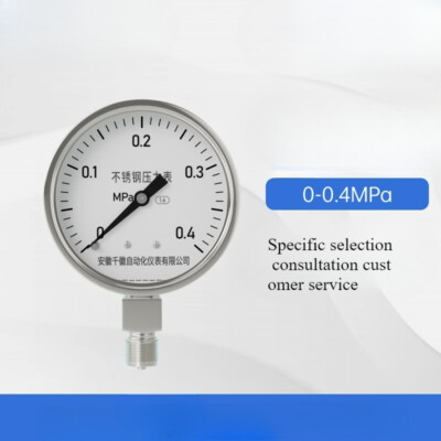 Stainless Steel Pressure Gauge Stainless Steel Shock-proof Pointer Type