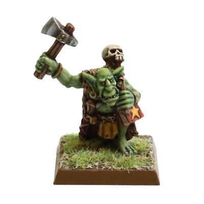 Pro Painted Kev Adams Goblin Schamane Warhammer the Old World