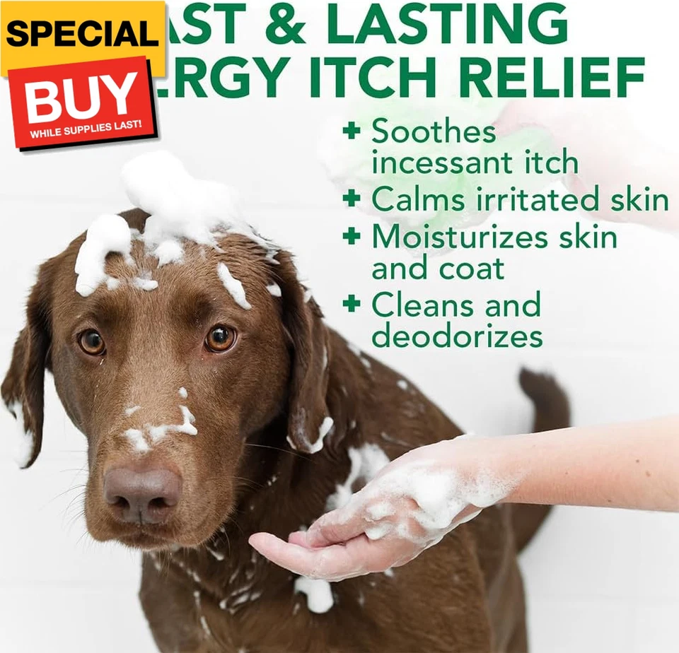 Champú para aliviar la picazón de alergia para perros | Limpia y alivia las molestias de la temporada A Foto 3 de 4