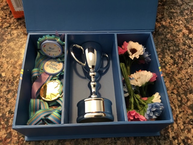 maplelea dolls for sale