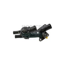 Thermostat Audi 60