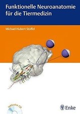 Funktionelle Neuroanatomie von Stoffel, Micha...