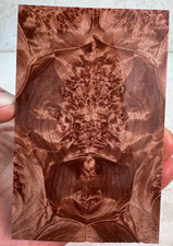 Stabilized Maple Burl Scales  SMB 1336